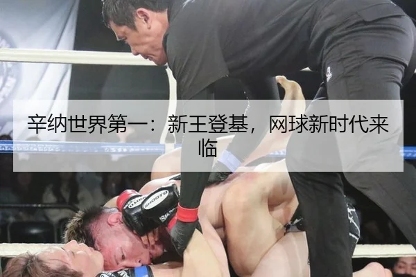辛纳世界第一：新王登基，网球新时代来临